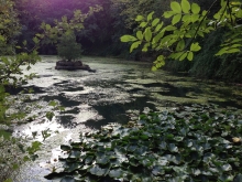 The Source - a beautiful pond at Taize