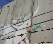 Dove behind barred wire, Israeli security wall
